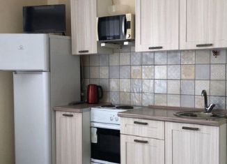 Сдаю в аренду 1-ком. квартиру, 40 м2, Ленинградская область, Голландская улица, 8