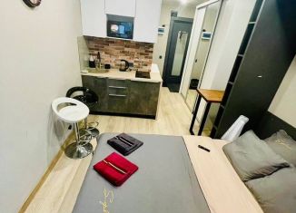 Сдается в аренду квартира студия, 16 м2, Ивантеевка, Санаторный проезд, 2