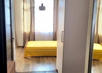 Сдаю в аренду квартиру студию, 24 м2, Мурино, Ручьёвский проспект, 13