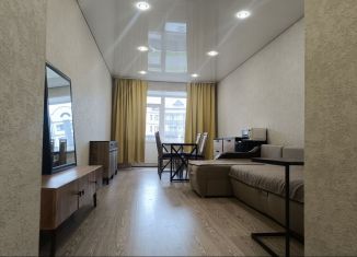 Продается квартира студия, 29.9 м2, Абакан, улица Некрасова, 45