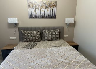 Сдача в аренду квартиры студии, 18 м2, Сочи, переулок Чкалова, 1, микрорайон Чкаловский
