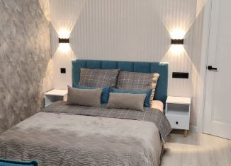 Сдам в аренду 1-комнатную квартиру, 45 м2, Тамбов, улица Карла Маркса, 3к3