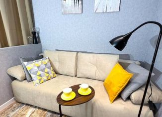 Сдача в аренду 1-комнатной квартиры, 40 м2, Котельники, Сосновая улица, 2, ЖК Белые Росы