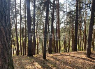 Продается земельный участок, 46 сот., посёлок Архангельское, посёлок Архангельское, 1