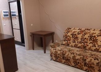 Квартира в аренду студия, 27.7 м2, Кудрово, Пражская улица, 9