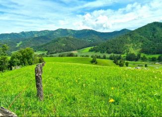 Продам участок, 347 сот., Республика Алтай