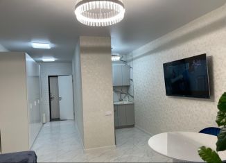Сдам в аренду квартиру студию, 33 м2, Сочи, улица Аллея Челтенхема, 18