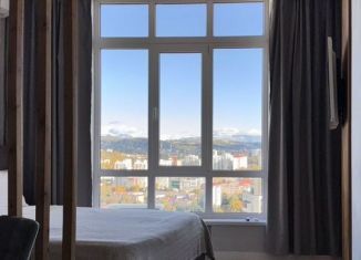 Аренда квартиры студии, 26.1 м2, Сочи, Виноградная улица, 19, микрорайон Новый Сочи