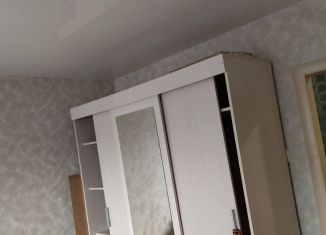 Продам 1-комнатную квартиру, 30 м2, Нижний Новгород, Автозаводский район, Береговая улица, 14