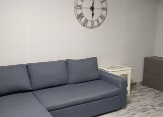 Аренда 2-ком. квартиры, 50 м2, Сочи, Кубанская улица, 13, микрорайон Центральный