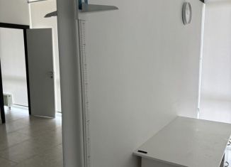 Сдам в аренду помещение свободного назначения, 18 м2, Краснодар, улица Кубанская Набережная, 33, микрорайон Центральный