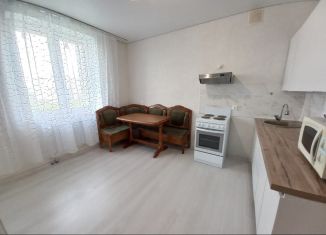 Сдаю в аренду однокомнатную квартиру, 48.4 м2, Республика Башкортостан, улица Октябрьской Революции, 62/1