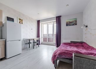 Продажа квартиры студии, 26 м2, Санкт-Петербург, метро Звёздная, улица Фёдора Котанова, 3к2