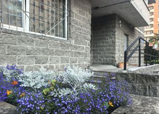 Сдается квартира студия, 26.2 м2, Санкт-Петербург, Пулковская улица, 6к2