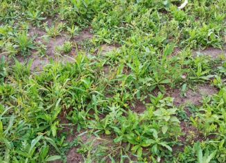 Продам участок, 10 сот., станция Евсино, Трактовая улица