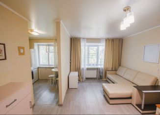 Продаю 1-комнатную квартиру, 30.3 м2, Казань, улица Хади Такташа, 101