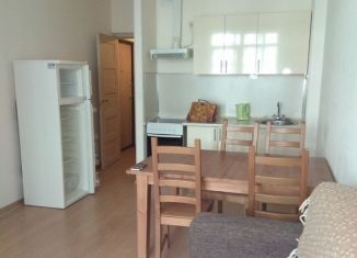 Сдам в аренду квартиру студию, 26.4 м2, Санкт-Петербург, улица Адмирала Черокова, 20, метро Проспект Ветеранов
