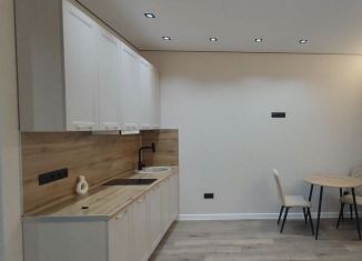 Продается квартира студия, 10.8 м2, Москва, 2-я Парковая улица, 12, ВАО