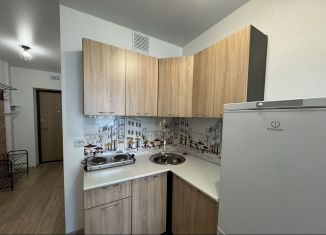 Квартира в аренду студия, 19 м2, Екатеринбург, метро Ботаническая