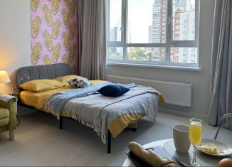 Аренда квартиры студии, 25 м2, Екатеринбург, улица Репина, 109/2