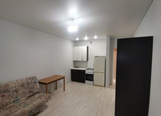 Сдается квартира студия, 28 м2, Республика Башкортостан, улица Асхата Мирзагитова, 10/1