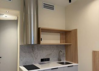 Продам квартиру студию, 20.3 м2, Санкт-Петербург, набережная Макарова, 58, ЖК Доклэндс