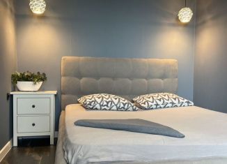 Сдаю в аренду 1-комнатную квартиру, 49 м2, Саратов, улица имени И.В. Мичурина, 18/68