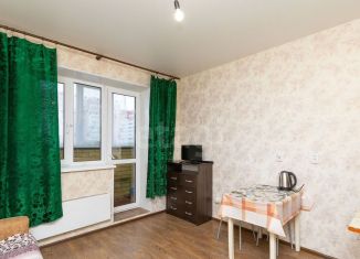 Квартира в аренду студия, 25 м2, Тюмень, ЖК Новый Мыс 2.0, Верхнетарманская улица, 1