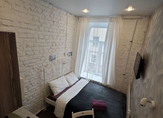 Сдам квартиру студию, 14.1 м2, Санкт-Петербург, Казанская улица, 33/5