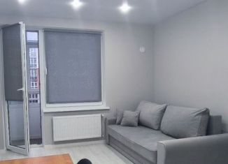 Сдаю в аренду квартиру студию, 24.4 м2, Калининград, Батальная улица, 100