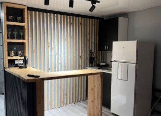 Дом в аренду, 46 м2, Республика Алтай, Коммунистический проспект, 236