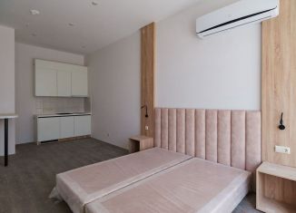 Продается квартира студия, 38 м2, Сочи, Виноградная улица, 101/1, микрорайон Новый Сочи