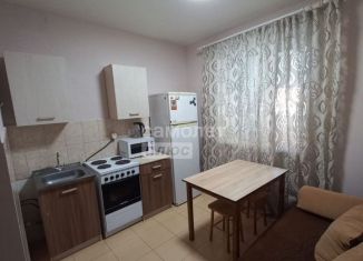 Сдаю в аренду однокомнатную квартиру, 27 м2, Краснодар, Московская улица, 116/3, Музыкальный микрорайон