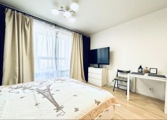 Продаю квартиру студию, 26.1 м2, Санкт-Петербург, Дальневосточный проспект, 33к1, Дальневосточный проспект