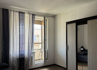 Квартира в аренду студия, 26 м2, Кудрово, Английская улица, 3к2
