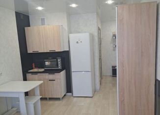 Сдается в аренду квартира студия, 25 м2, Искитим, жилмассив Ясный, 33