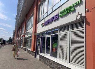 Продаю помещение свободного назначения, 127 м2, Санкт-Петербург, проспект Просвещения, 43, Выборгский район