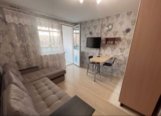 Сдача в аренду квартиры студии, 21 м2, Екатеринбург, Рощинская улица, 21к3, метро Ботаническая
