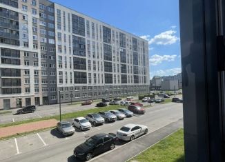 Сдается многокомнатная квартира, 34 м2, Кудрово, проспект Строителей, 1к2