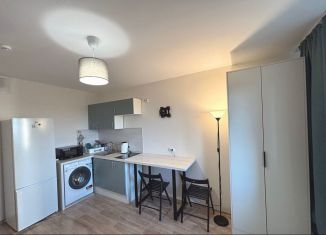 Сдам в аренду квартиру студию, 20 м2, Санкт-Петербург, набережная реки Каменки, метро Проспект Просвещения