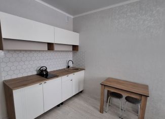Сдаю квартиру студию, 24.9 м2, Оренбург, Уральская улица, 2/25, Ленинский район