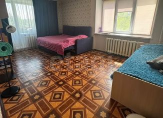 Продается 2-комнатная квартира, 47.8 м2, Озёрск, улица Семёнова, 25