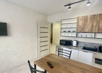 1-комнатная квартира в аренду, 45 м2, Республика Башкортостан, улица Ленина