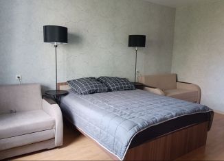 Аренда 1-комнатной квартиры, 38.9 м2, Карелия, Первомайская улица, 8А