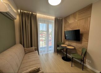 Квартира в аренду студия, 19 м2, Сочи, Полтавская улица, 21А