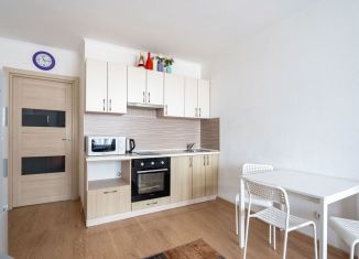 Продажа квартиры студии, 24.7 м2, Санкт-Петербург, проспект Энергетиков, 9к6, метро Ладожская