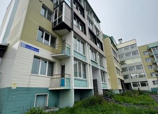Продажа двухкомнатной квартиры, 41.7 м2, Петропавловск-Камчатский, Космический проезд, 19, микрорайон Горизонт-Север
