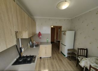 Сдается однокомнатная квартира, 35 м2, Нижний Новгород, Нижегородская улица, 6