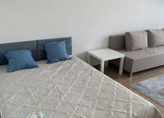 Сдам в аренду 1-комнатную квартиру, 42 м2, Тольятти, улица Маршала Жукова, 54В