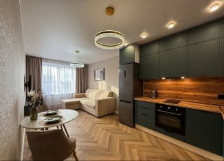 Сдаю в аренду 1-комнатную квартиру, 45 м2, Новосибирск, Воинская улица, 69, метро Золотая Нива